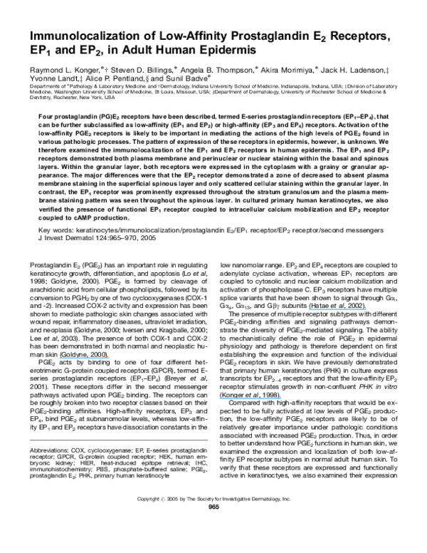(PDF) Immunolocalization of Low-Affinity Prostaglandin E2 Receptors ...