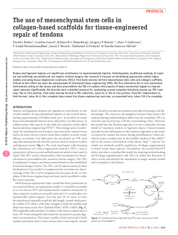 (PDF) The use of mesenchymal stem cells in collagen-based scaffolds for ...