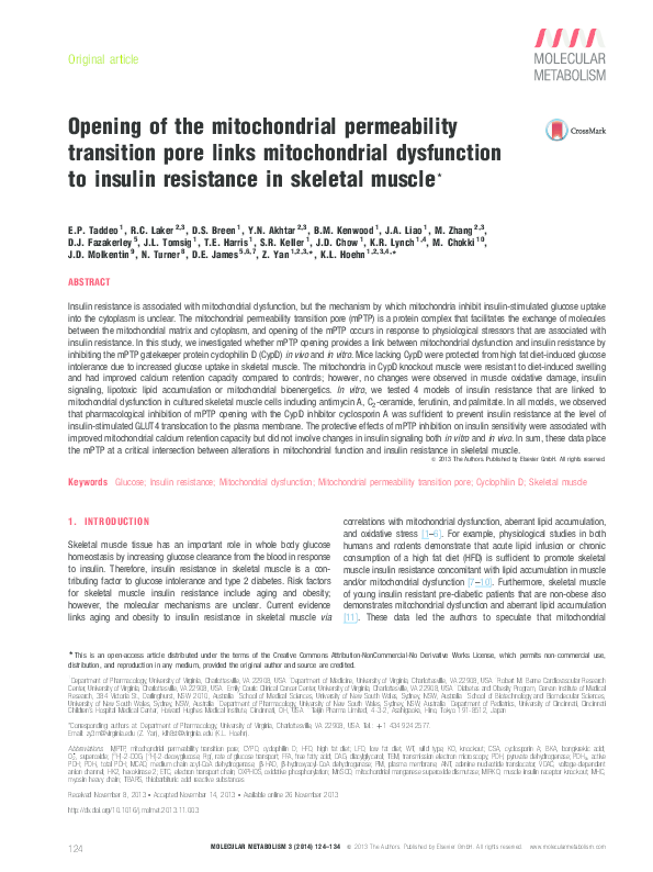 (PDF) Opening of the mitochondrial permeability transition pore causes ...