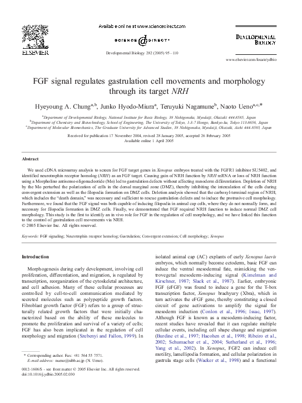 (PDF) FGF signal regulates gastrulation cell movements and morphology ...