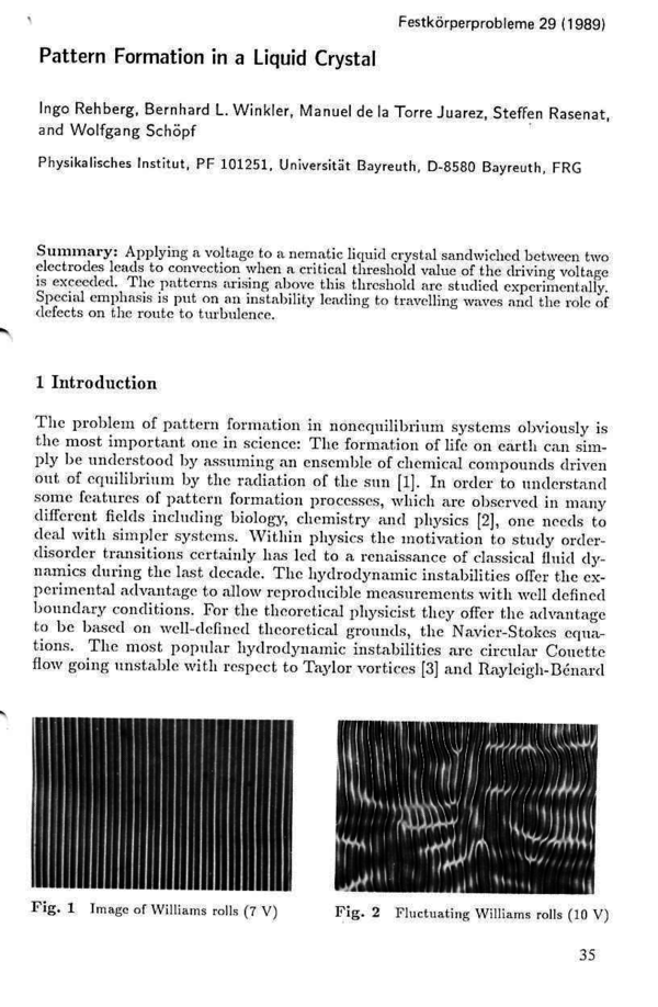 (PDF) Pattern formation in a liquid crystal