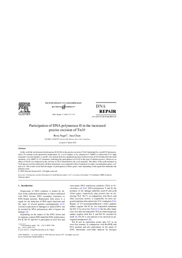 (PDF) Participation of DNA polymerase II in the increased precise ...