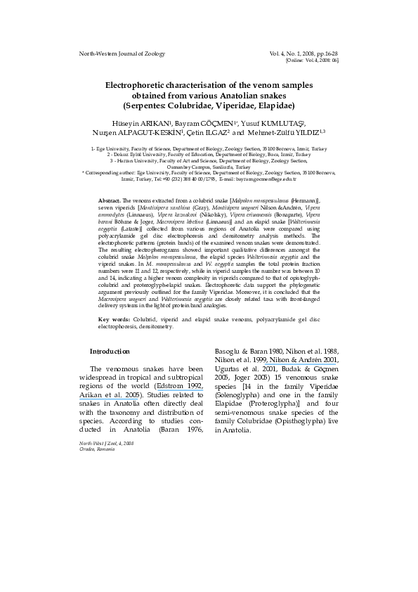 (PDF) Electrophoretic characterisation of the venom samples obtained ...