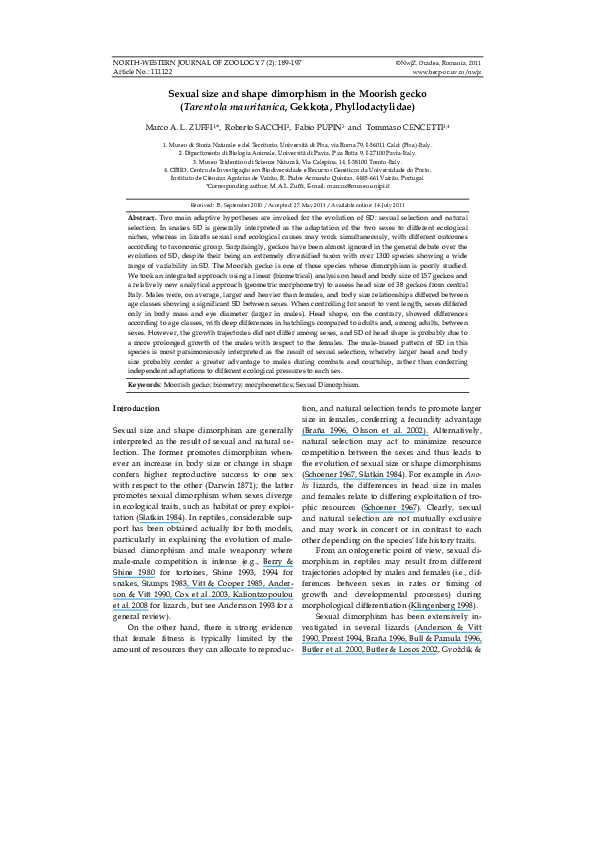 (PDF) Sexual size and shape dimorphism in the Moorish gecko (Tarentola ...
