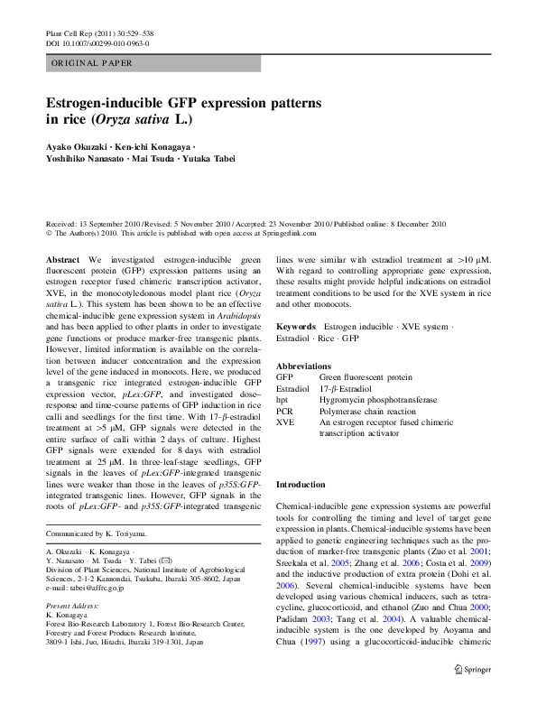 (PDF) Estrogeninducible GFP expression patterns in rice ( Oryza sativa