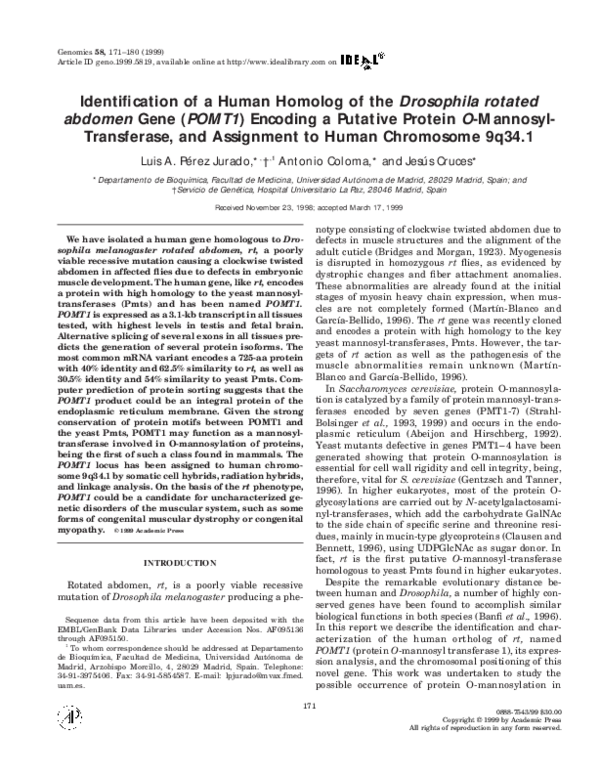 (PDF) Identification of a Human Homolog of the Drosophila rotated ...