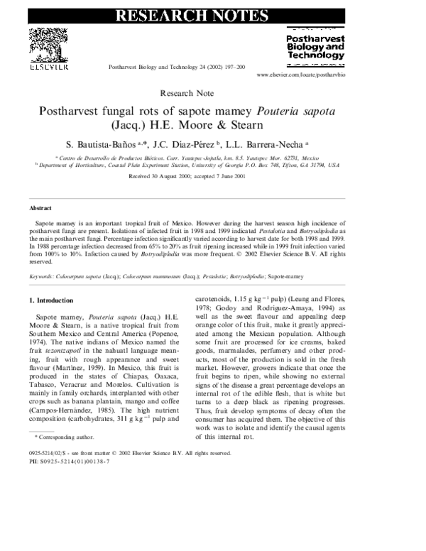 Sapota cultivation in india image