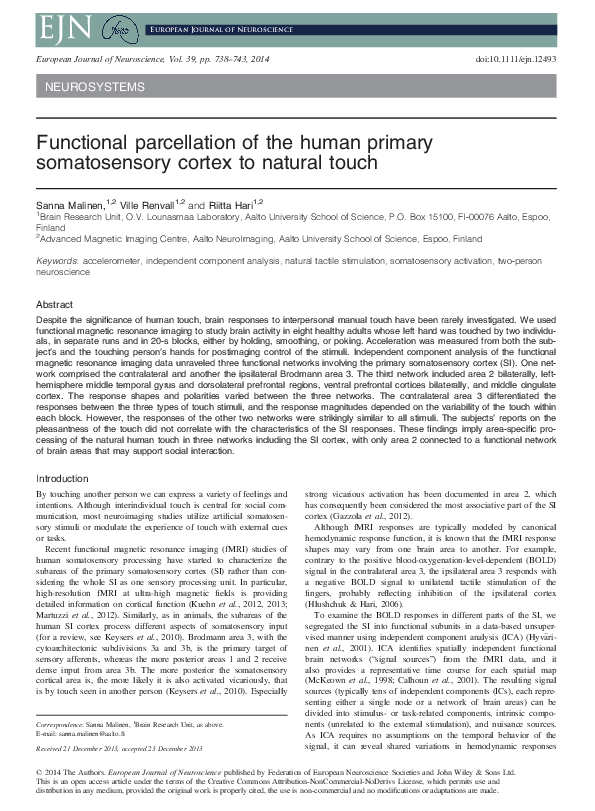 (PDF) Functional parcellation of the human primary somatosensory cortex ...