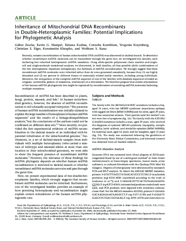 (PDF) Inheritance of Mitochondrial DNA Recombinants in Double ...