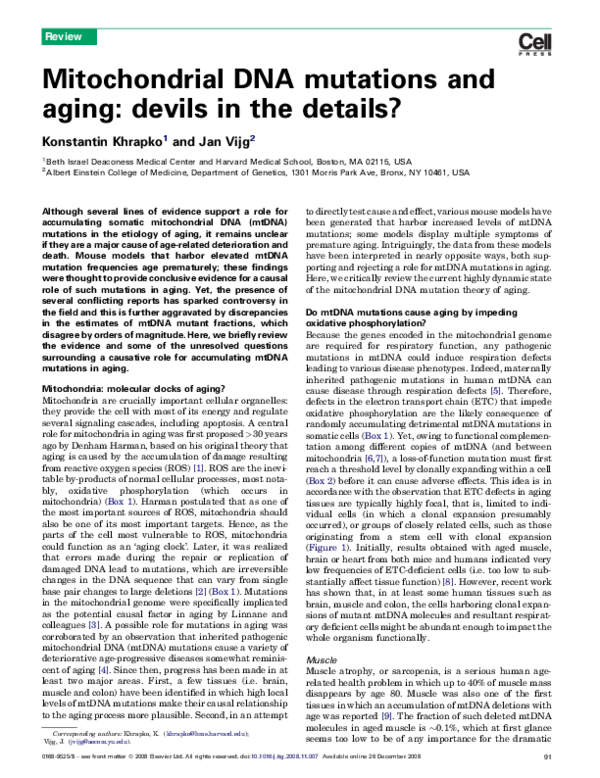 (PDF) Mitochondrial DNA mutations and aging: devils in the details?