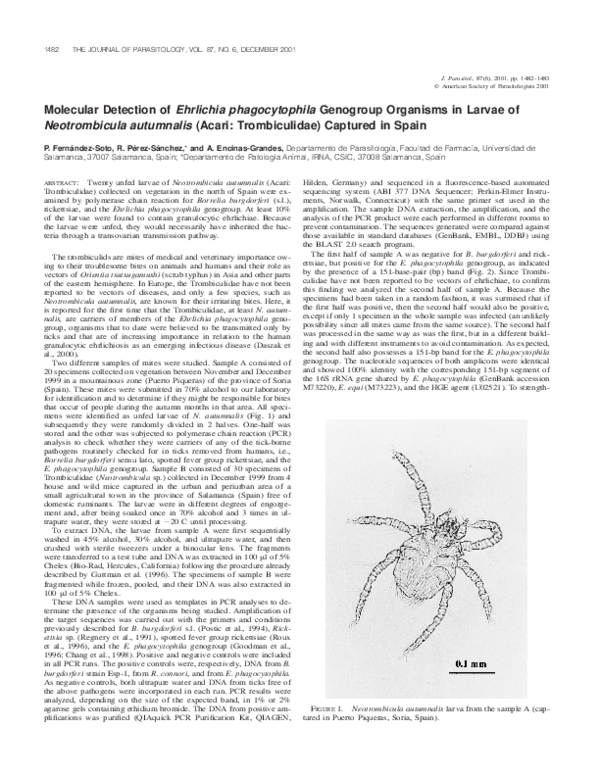 (PDF) Molecular Detection of Ehrlichia phagocytophila Genogroup ...