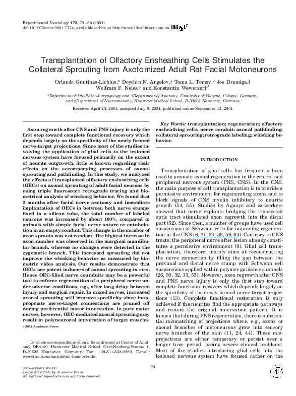 (PDF) Transplantation of olfactory ensheathing cells fails to promote ...