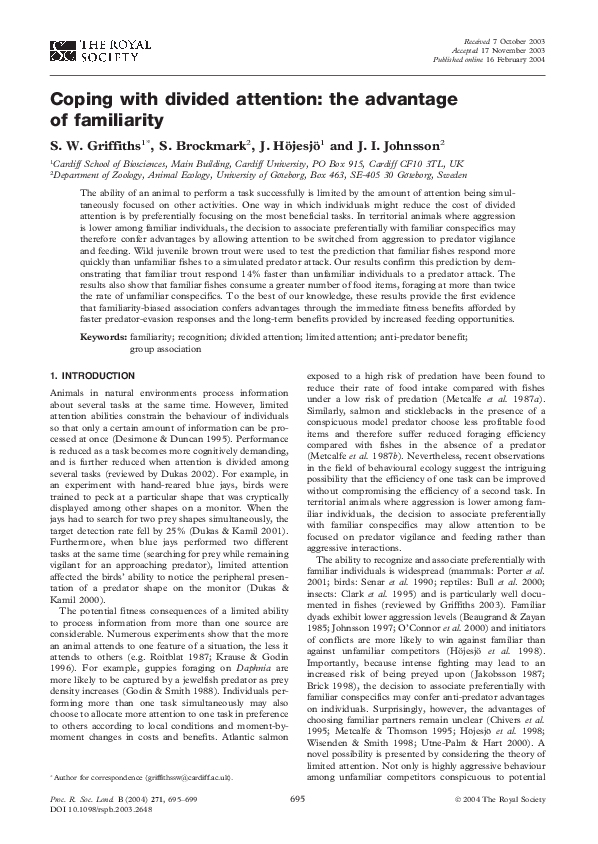 Theories of divided attention picture