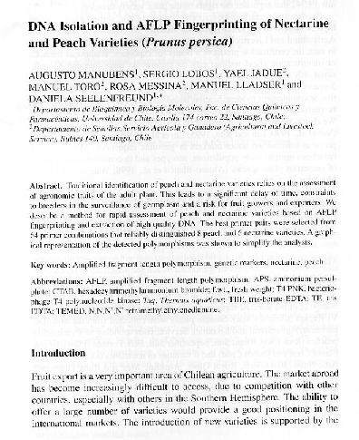 Nectarine vs peach picture