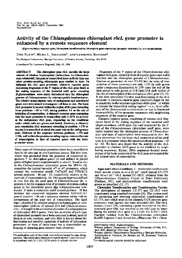 (PDF) Activity of the Chlamydomonas Chloroplast rbcL Gene Promoter is ...