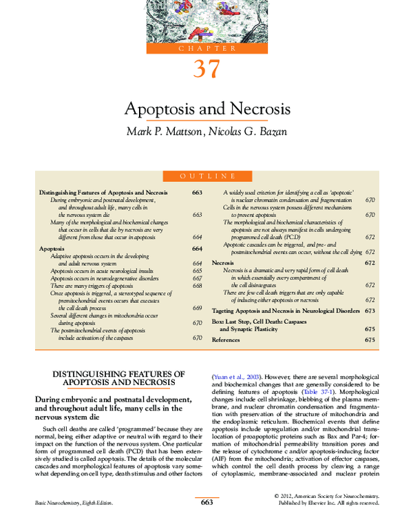 PDF) Basic Neurochemistry: Molecular, Cellular, and Medical