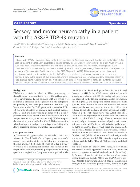 (PDF) Sensory and motor neuronopathy in a patient with the A382P TDP43