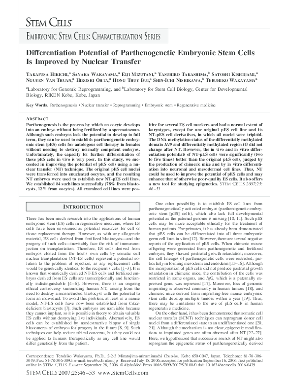 (PDF) Differentiation Potential of Parthenogenetic Embryonic Stem Cells ...