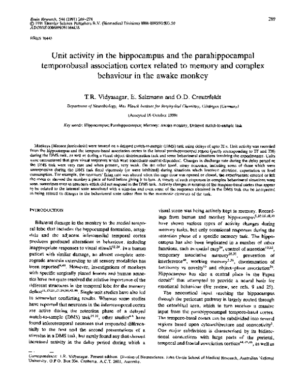 Hippocampus spatial memory image