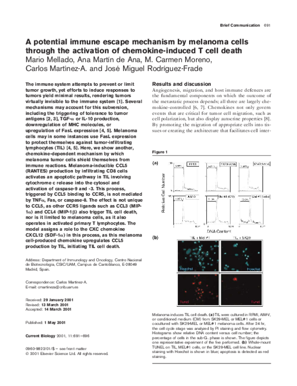 (PDF) A potential immune escape mechanism by melanoma cells through the ...