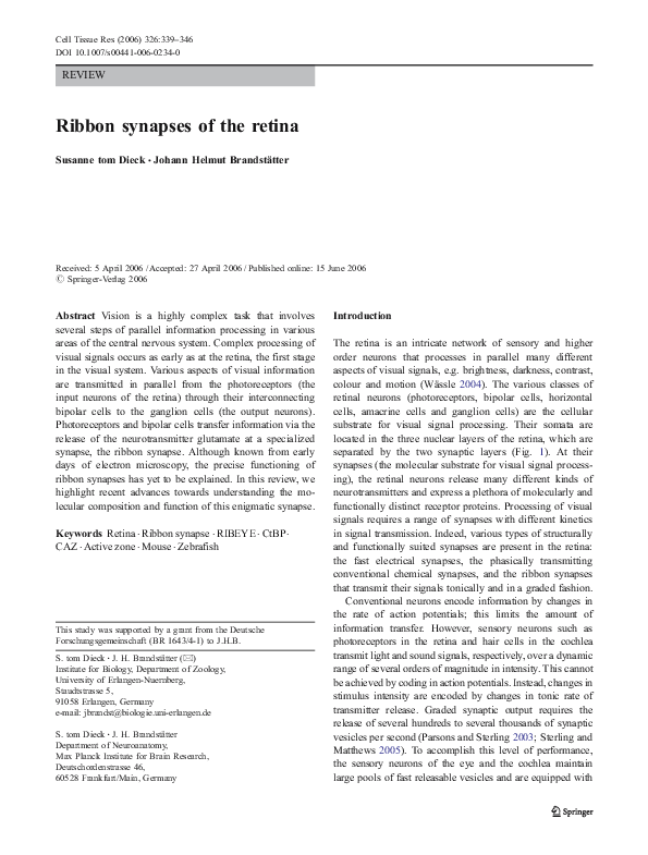 (PDF) Ribbon synapses of the retina