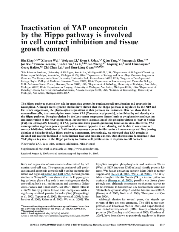 (PDF) Inactivation of YAP oncoprotein by the Hippo pathway is involved ...