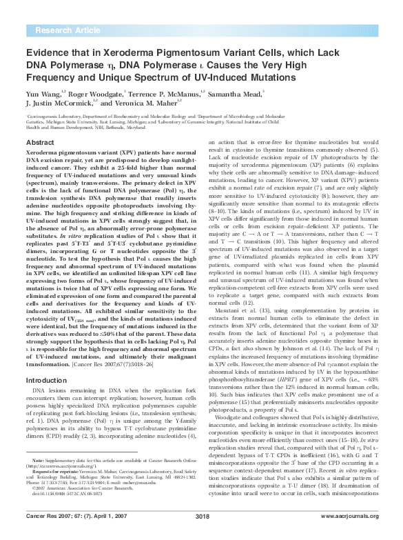 (PDF) Evidence that in Xeroderma Pigmentosum Variant Cells, which Lack ...