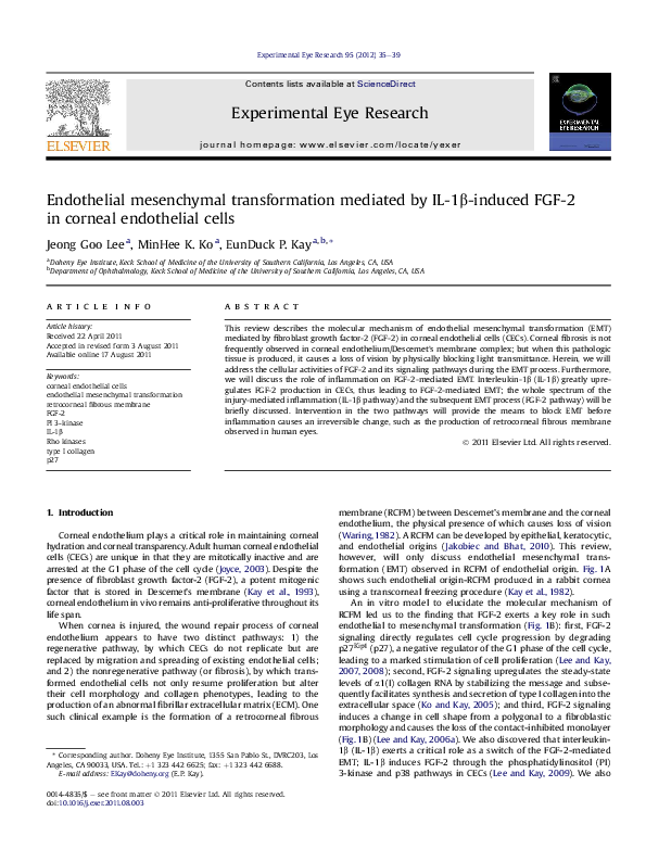 What damages endothelial cells picture