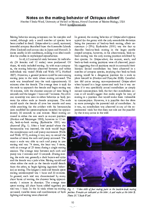 (PDF) Notes on the mating behavior of Octopus oliveri
