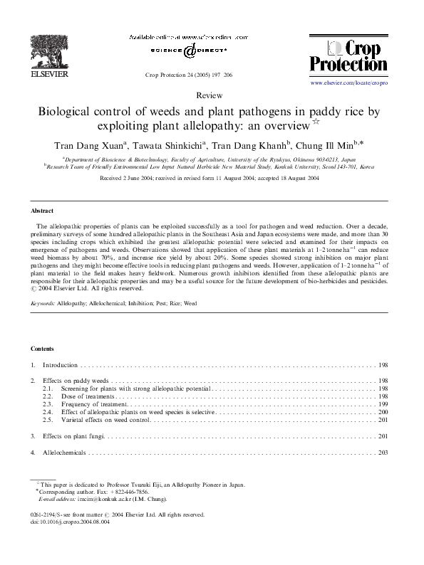 Weedy paddy essay image