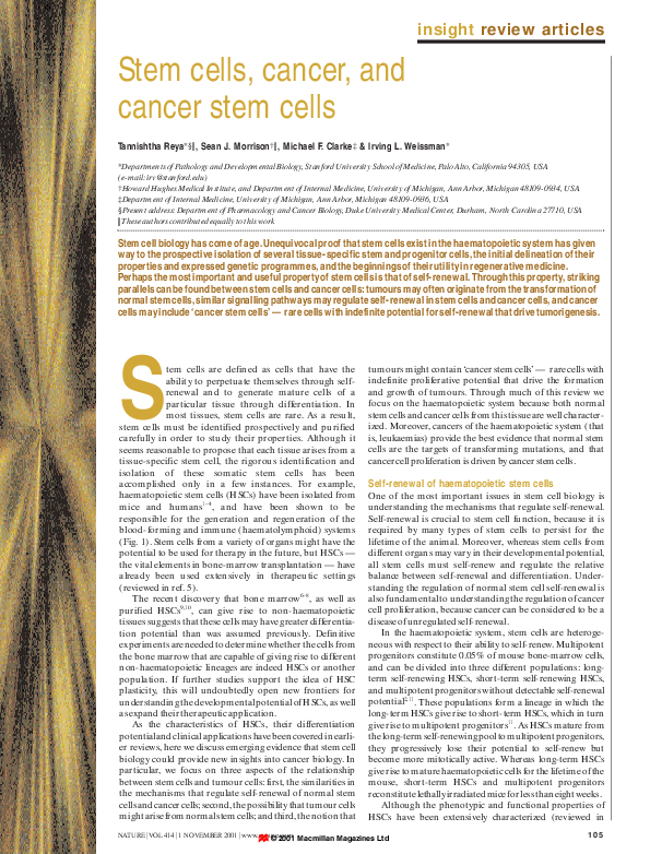 (PDF) Stem cells, cancer, and cancer stem cells