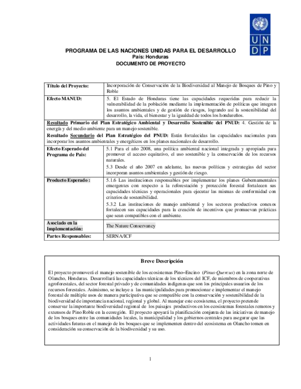 (PDF) PROGRAMA DE LAS NACIONES UNIDAS PARA EL DESARROLLO