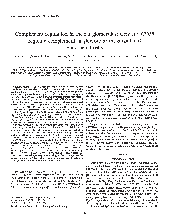(PDF) Complement regulation in the rat glomerulus: Crry and CD59 ...