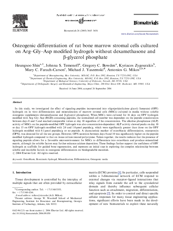 (PDF) Osteogenic differentiation of rat bone marrow stromal cells ...