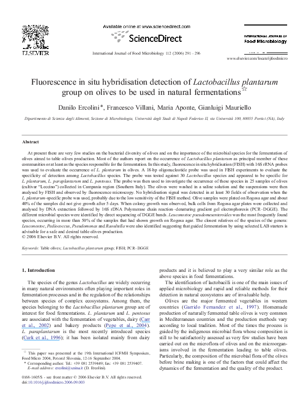 (PDF) Fluorescence in situ hybridisation detection of Lactobacillus ...