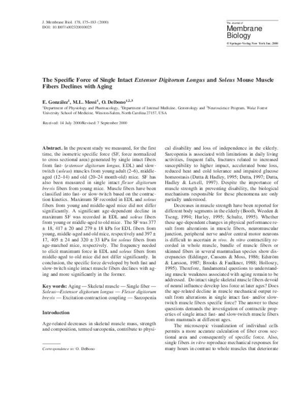(PDF) The Specific Force of Single Intact Extensor Digitorum Longus and ...