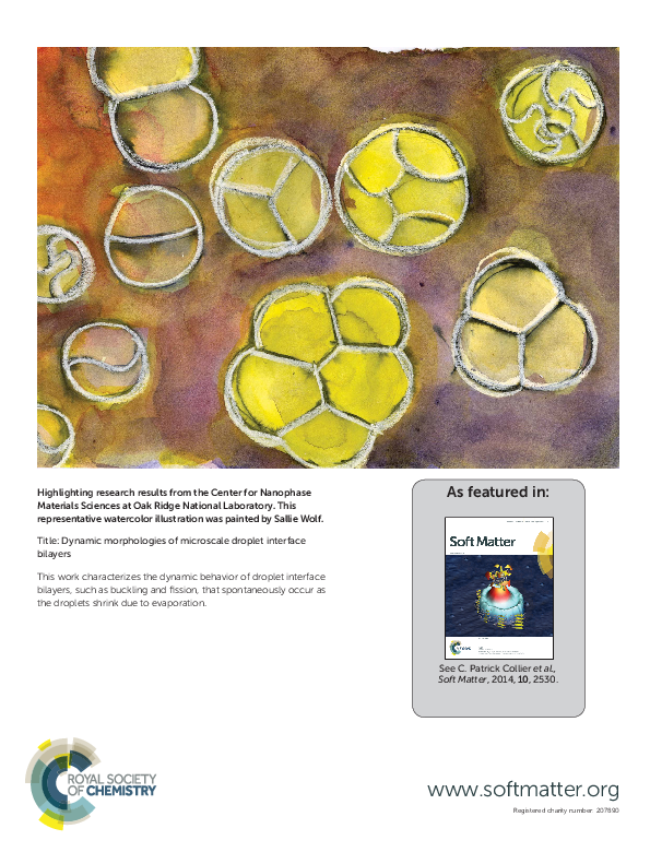 (PDF) Dynamic morphologies of microscale droplet interface bilayers