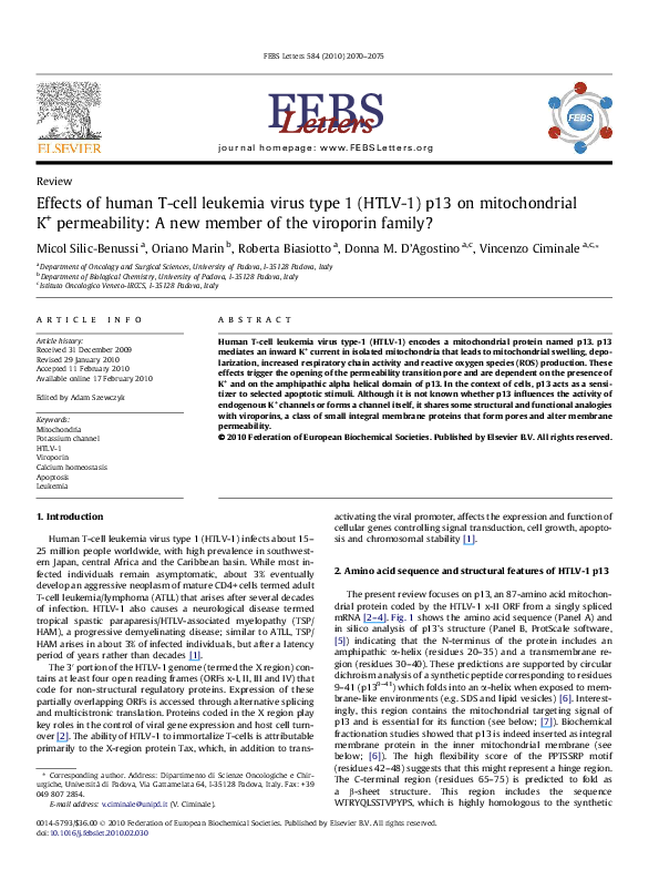 (PDF) Effects of human T-cell leukemia virus type 1 (HTLV1) p13 on ...