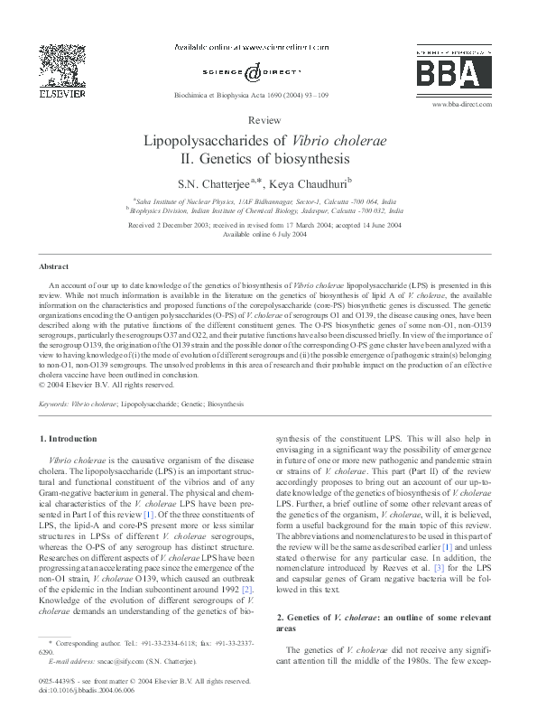 Vibrio cholerae characteristics image