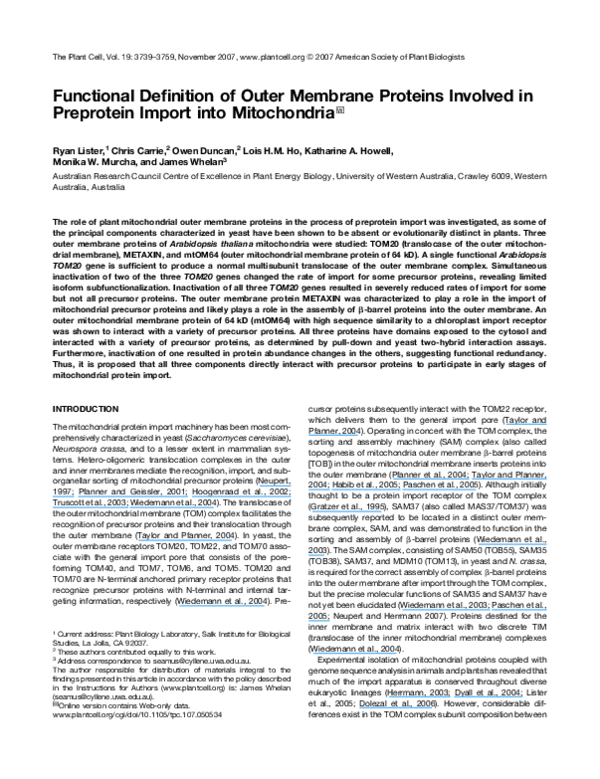 Mitochondria parts image