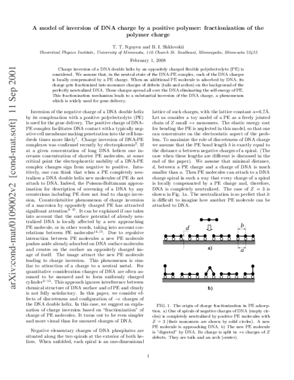 (PDF) A model of inversion of DNA charge by a positive polymer