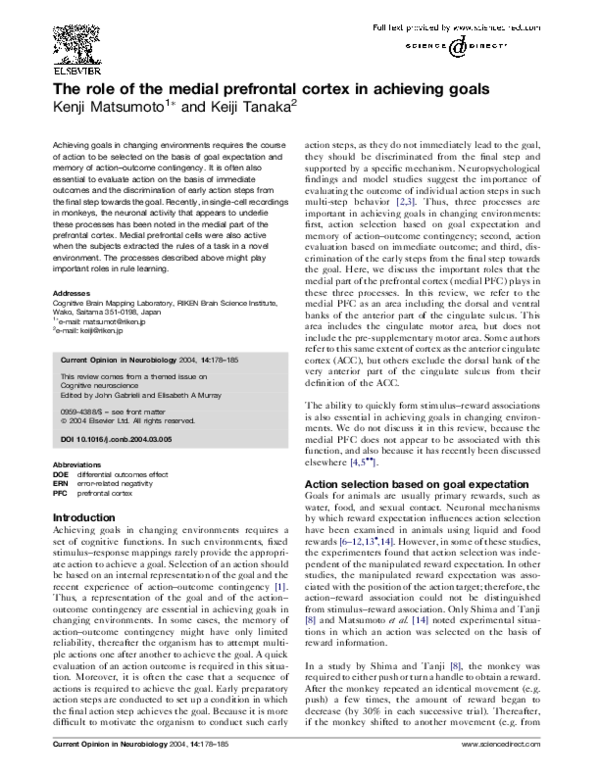 (PDF) The role of the medial prefrontal cortex in achieving goals