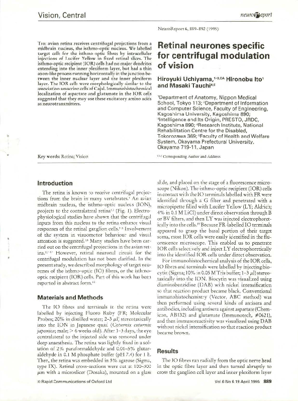(PDF) Retinal neurones specific for centrifugal modulation of vision