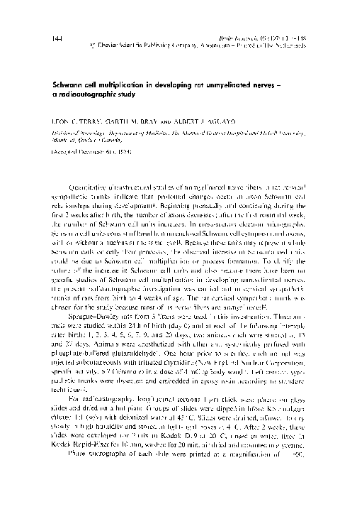 (PDF) Schwann cell multiplication in developing rat unmyelinated nerves ...