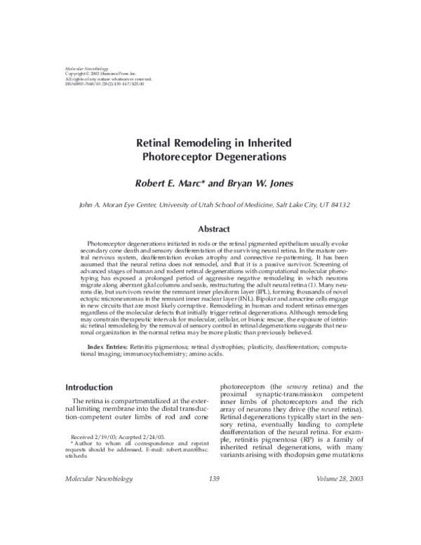 (PDF) Retinal remodeling in inherited photoreceptor degenerations