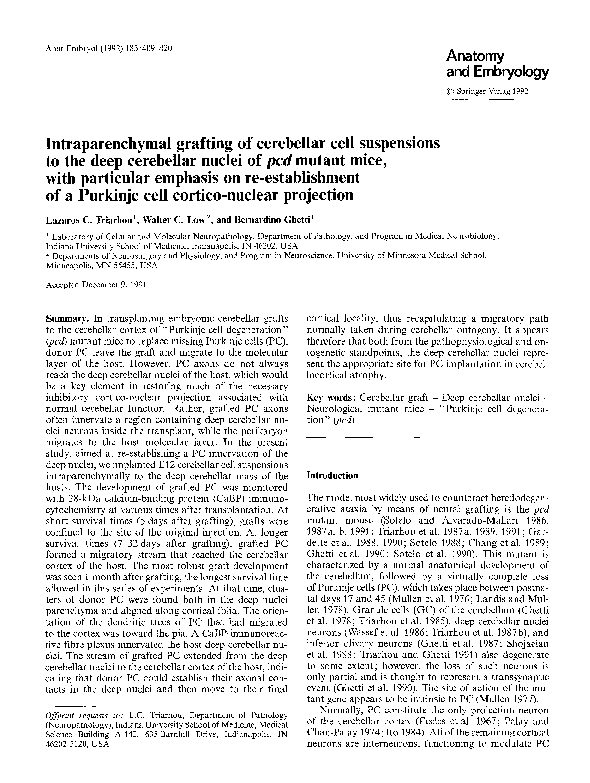 (PDF) Intraparenchymal grafting of cerebellar cell suspensions to the ...