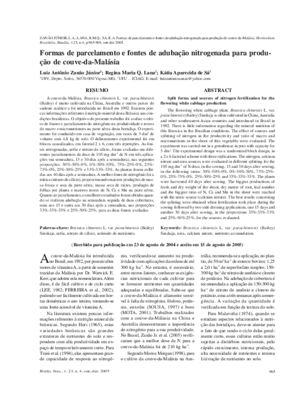 Cabbage production essay image