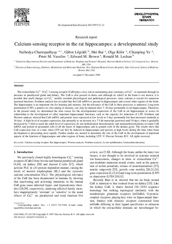 Hippocampus and alzheimer's disease picture