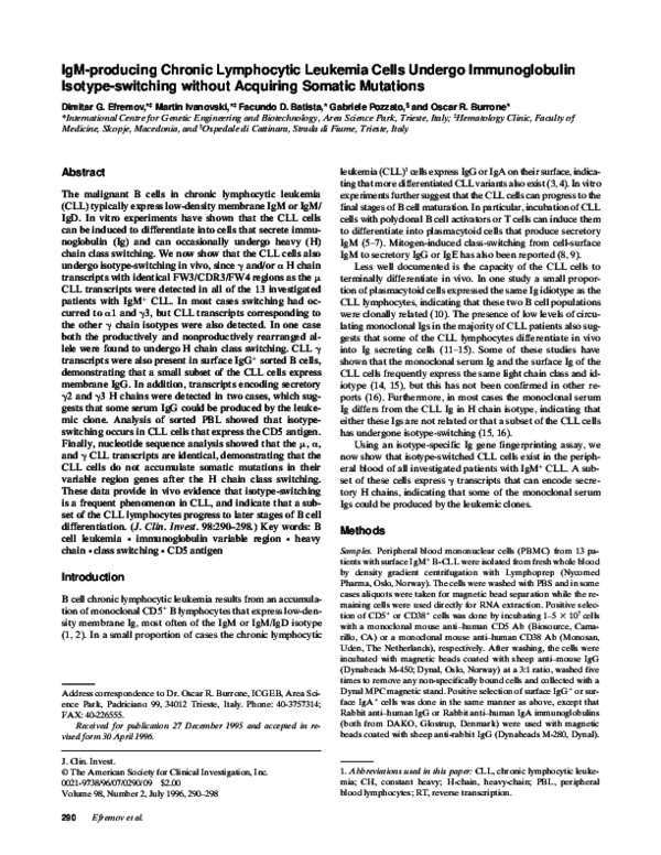 (PDF) IgM-producing chronic lymphocytic leukemia cells undergo ...