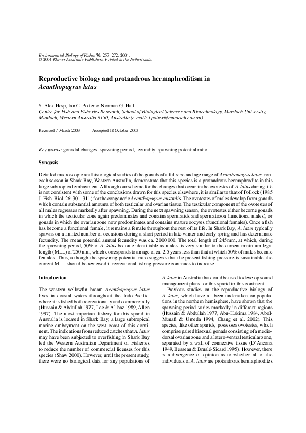 (PDF) Reproductive Biology and Protandrous Hermaphroditism in Acanthopagrus latus Norman Hall